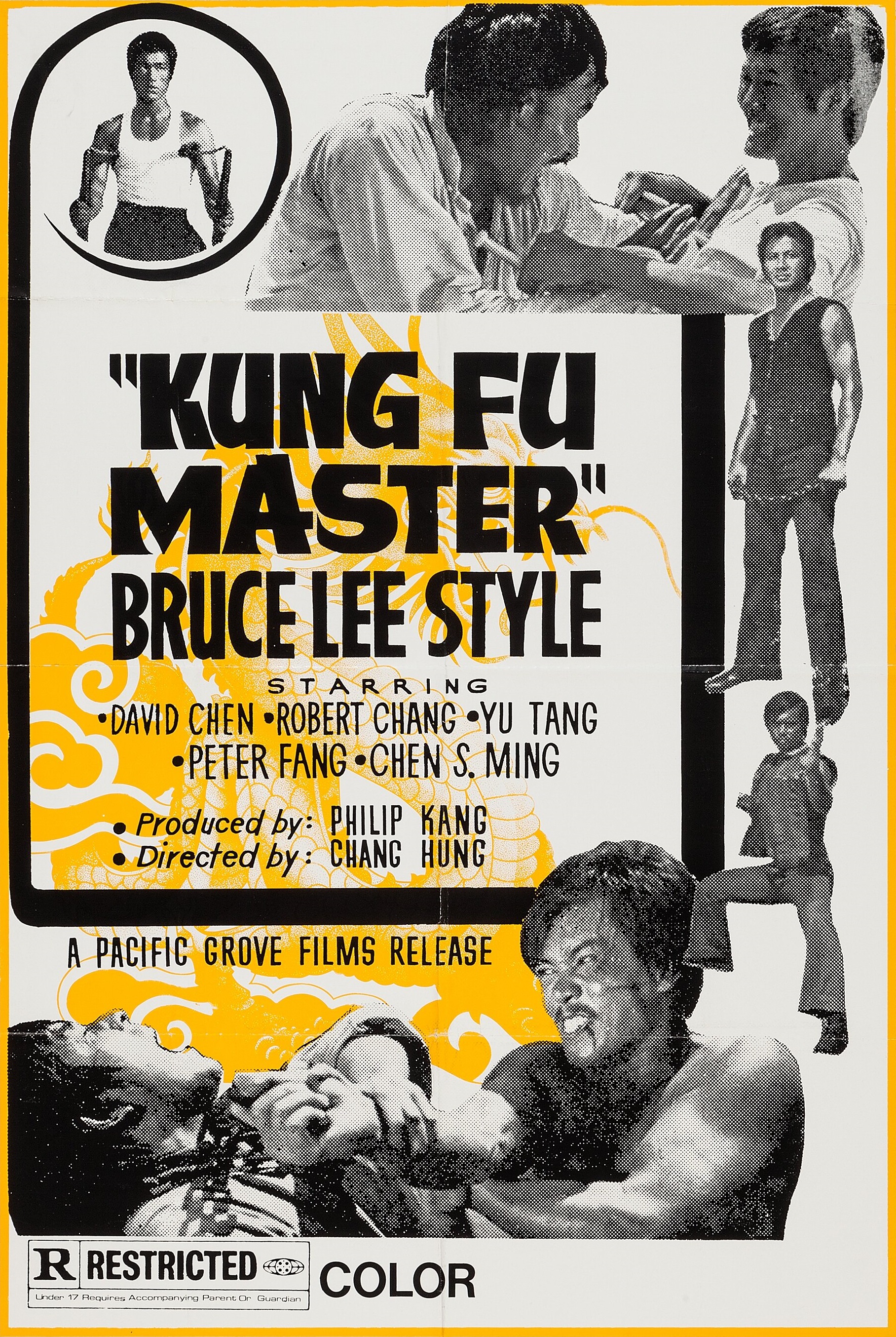 Kung Fu Master Bruce Lee Style